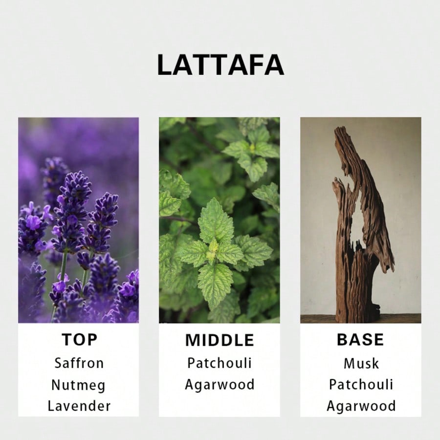 Lattafa Badee Al Oud For Glory - Perfume Long Fragrance 评论和价格