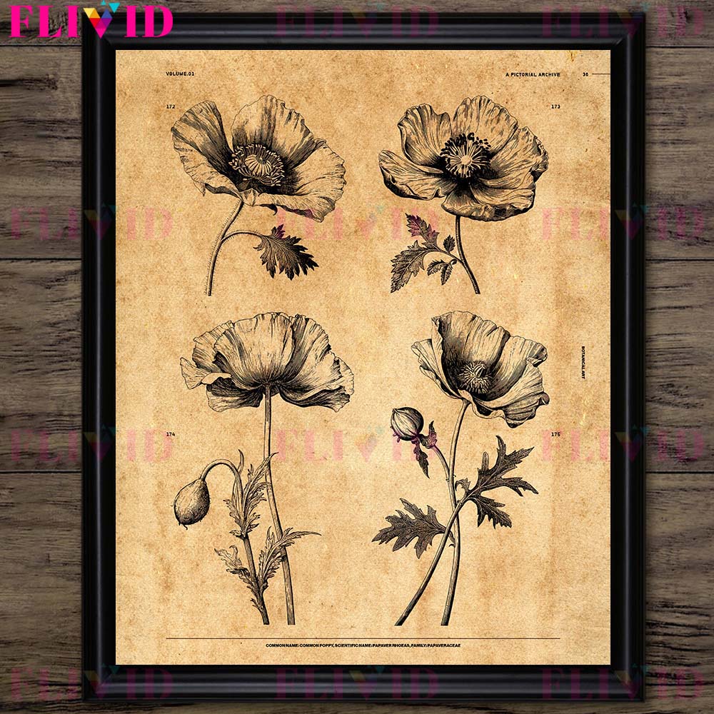 Prickly Pear,Water Lily,Rose,F - Rose Water Spray 评论和价格